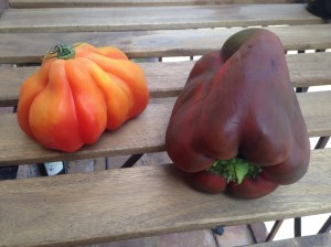 From the local market.